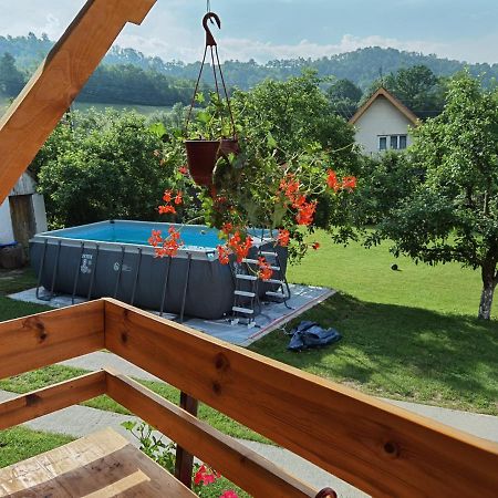 Stara Etno Kuca Radonjic Villa Guča Kültér fotó