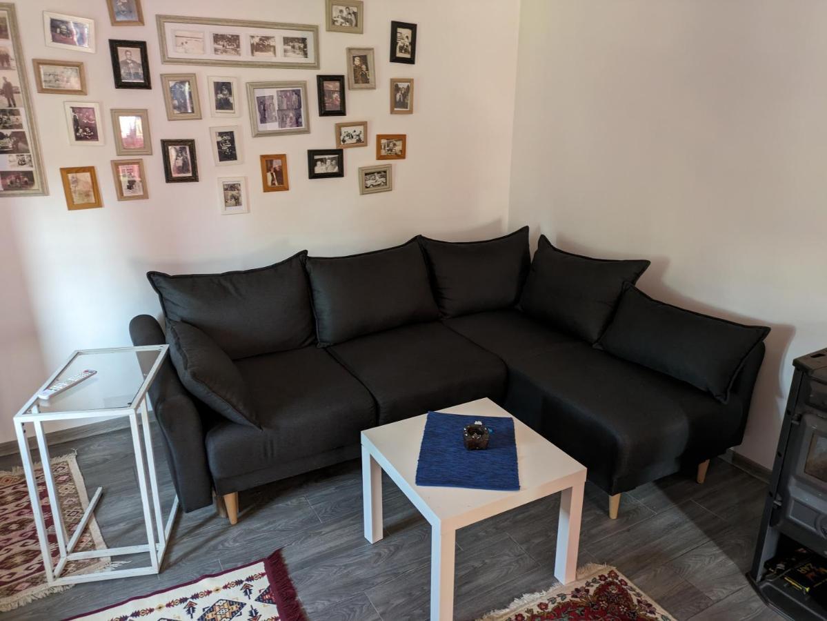 Stara Etno Kuca Radonjic Villa Guča Kültér fotó