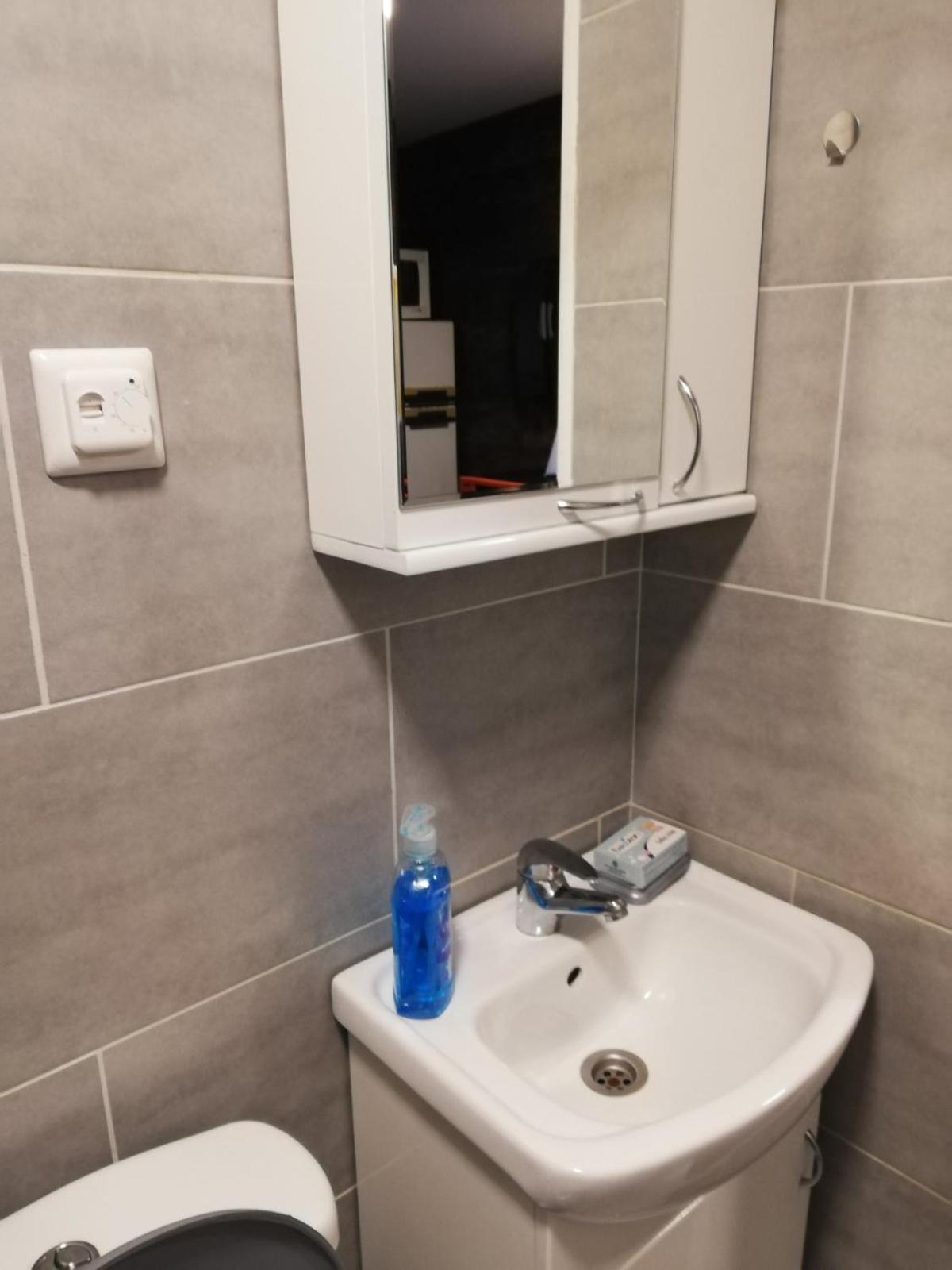 Stara Etno Kuca Radonjic Villa Guča Szoba fotó