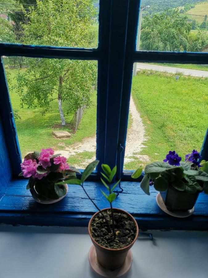 Stara Etno Kuca Radonjic Villa Guča Kültér fotó