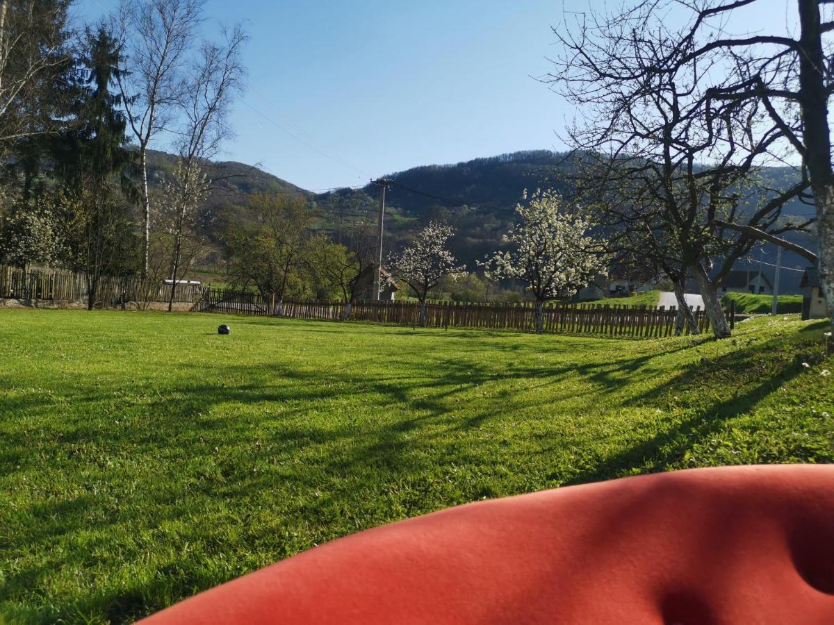 Stara Etno Kuca Radonjic Villa Guča Kültér fotó